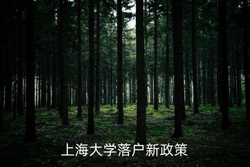上海大學落戶新政策