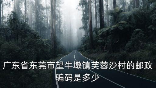 廣東省東莞市望牛墩鎮芙蓉沙村的郵政騙碼是多少