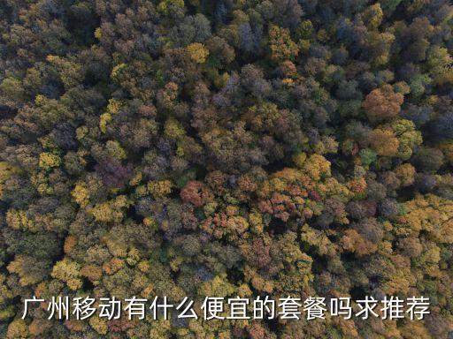 廣州移動有什么便宜的套餐嗎求推薦