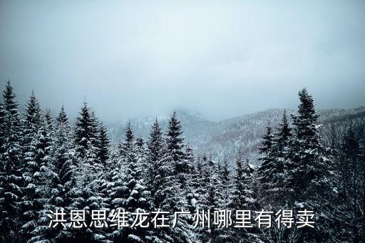 洪恩思維龍在廣州哪里有得賣