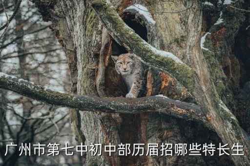 廣州七中全省招生，廣州市第七中初中部歷屆招哪些特長生