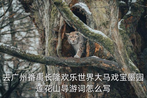 去廣州番禹長隆歡樂世界大馬戲寶墨園蓮花山導游詞怎么寫