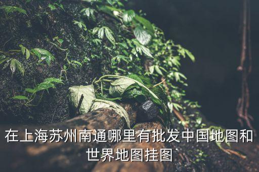 上海市測繪院基準平臺，做客服的基準