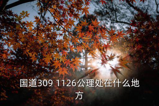 國道309 1126公理處在什么地方