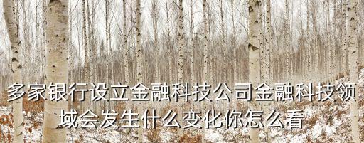 深圳金融科技監管沙盒，金融科技創新中監管沙盒的運作要點