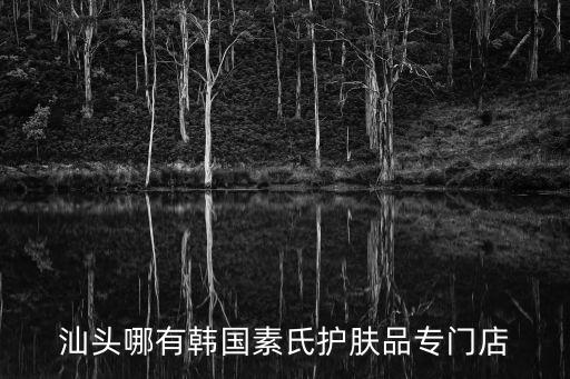 汕頭哪有韓國素氏護膚品專門店