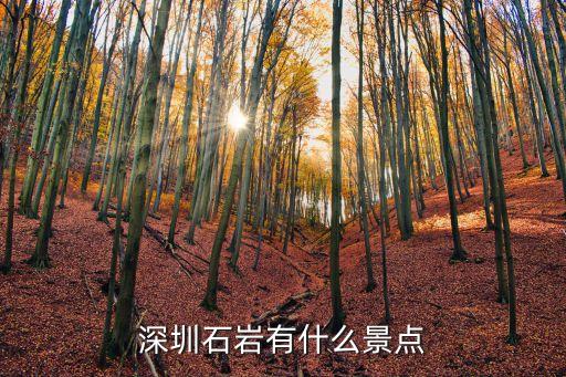 深圳石巖景點青草牌，深圳石巖有哪些旅游景點