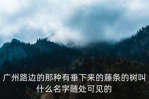廣州路邊的那種有垂下來的藤條的樹叫什么名字隨處可見的