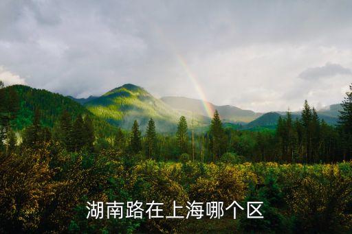 湖南路在上海哪個區