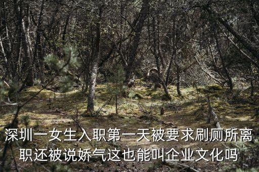 深圳一女生入職第一天被要求刷廁所離職還被說嬌氣這也能叫企業文化嗎