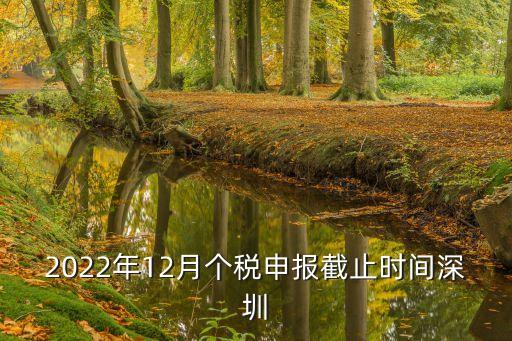 2022年12月個稅申報截止時間深圳