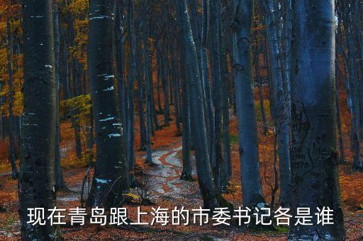 現(xiàn)在青島跟上海的市委書記各是誰