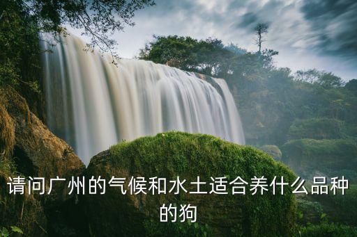 請問廣州的氣候和水土適合養(yǎng)什么品種的狗