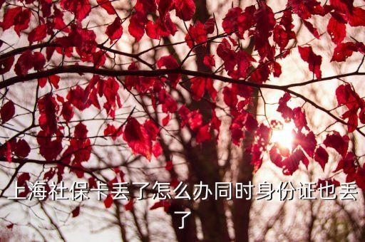 上海市新版社保卡補辦，上海社保卡補辦地址