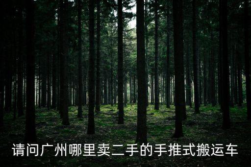 請問廣州哪里賣二手的手推式搬運車