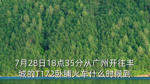 7月28日18點35分從廣州開往豐城的T172臥鋪火車什么時候到