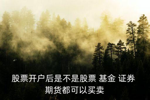 廣州匯集股份有限公司，集壹食品是怎樣的一家公司