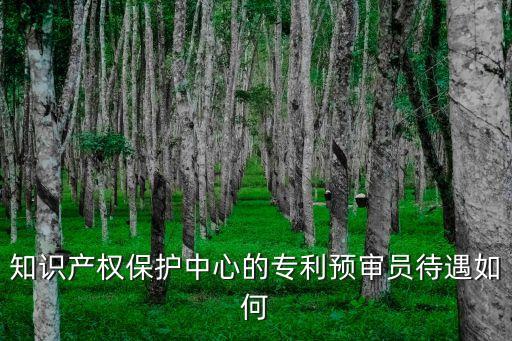 上海市知識(shí)產(chǎn)權(quán)局副局長(zhǎng)章永忠，專(zhuān)利申請(qǐng)費(fèi)用減緩請(qǐng)求證明