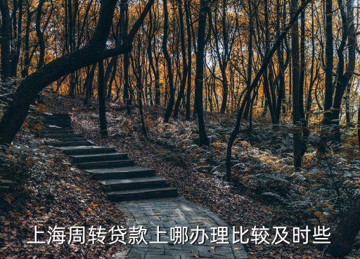 上海市國內外匯貸款，上海無抵押無擔保貸款