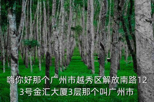 廣州伽潤國強集團沃云，廣州伽潤的法人是誰