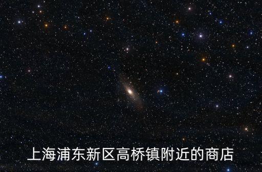 上海市浦東新區(qū)高行鎮(zhèn)添衣服裝店，上海浦東新區(qū)高橋鎮(zhèn)附近的商店