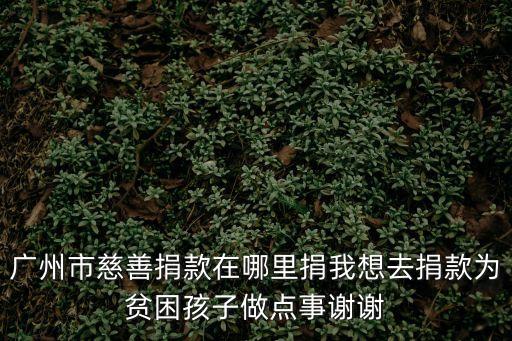 廣州紅十字會慈善機(jī)構(gòu)，廣東的慈善機(jī)構(gòu)有哪些
