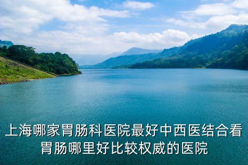 上海哪家胃腸科醫(yī)院最好中西醫(yī)結(jié)合看胃腸哪里好比較權(quán)威的醫(yī)院