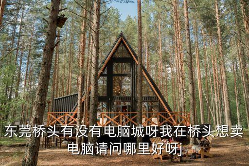 東莞橋頭有沒有電腦城呀我在橋頭想賣電腦請問哪里好呀j