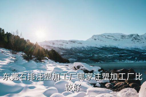 東莞石排注塑加工廠哪家注塑加工廠比較好