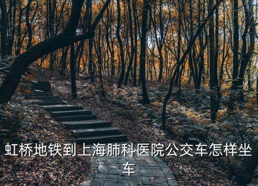上海虹橋站到上海市肺科，虹橋地鐵到上海肺科醫院公交車怎樣坐車