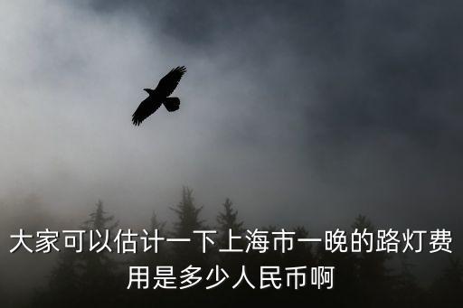 大家可以估計一下上海市一晚的路燈費用是多少人民幣啊