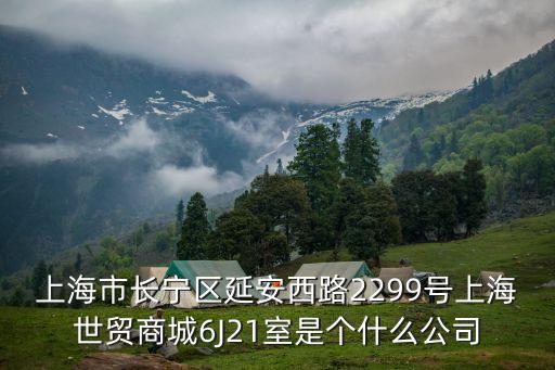 上海市長(zhǎng)寧區(qū)延安西路2299號(hào)上海世貿(mào)商城6J21室是個(gè)什么公司