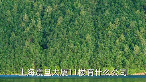上海市震旦廣場，上海震旦大廈11樓有什么公司