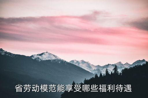 上海市 省部級表彰獎勵目錄，上海市科技進步獎 是什么級別的獎