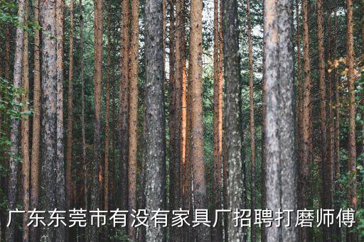 東莞市厚街鎮(zhèn)白濠五金打磨工作，誰在厚街白濠工作過那里怎么樣