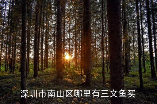 深圳市南山區哪里有三文魚買