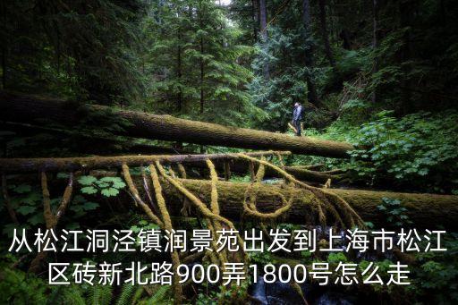 從松江洞涇鎮(zhèn)潤景苑出發(fā)到上海市松江區(qū)磚新北路900弄1800號怎么走