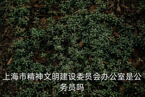 上海市精神文明建設委員會辦公室是公務員嗎