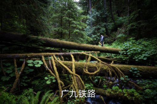 廣州舊廣九火車站圖，廣九鐵路在哪里上車