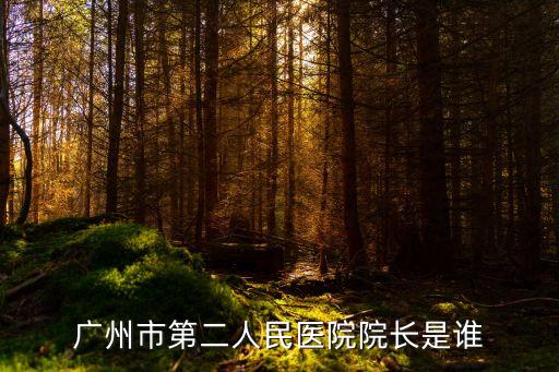廣州馬田會，廣州流花街道辦事處主任書記是誰