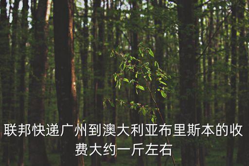 聯(lián)邦快遞廣州到澳大利亞布里斯本的收費(fèi)大約一斤左右