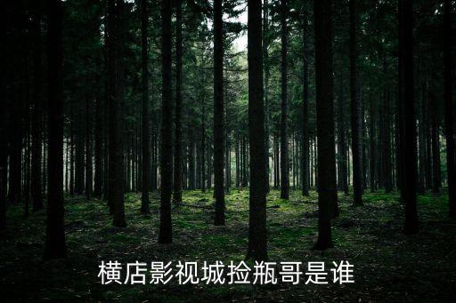 橫店影視城撿瓶哥是誰