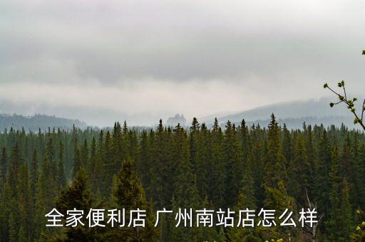 廣州火車站 全家便利店，請問廣州火車站地鐵站里面有沒有711便利店