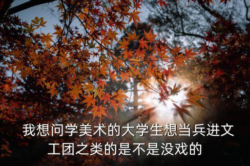   我想問學美術的大學生想當兵進文工團之類的是不是沒戲的