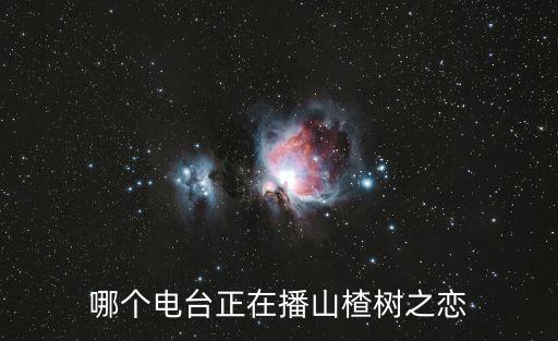 哪個電臺正在播山楂樹之戀