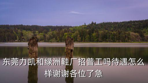 東莞力凱鞋廠打工仔，東莞力凱和綠洲鞋廠招普工嗎待遇怎么樣謝謝各位了急