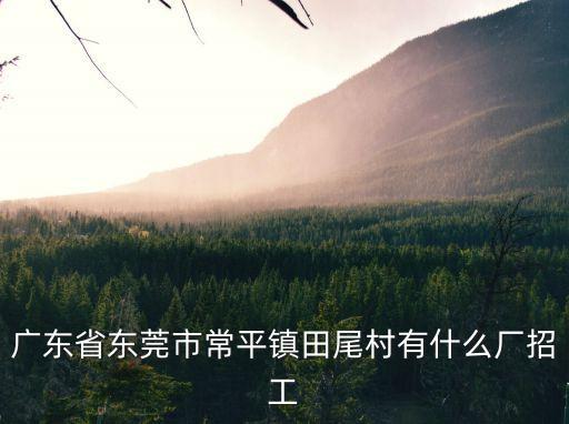 廣東省東莞市常平鎮田尾村有什么廠招工