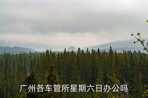 廣州各車管所星期六日辦公嗎