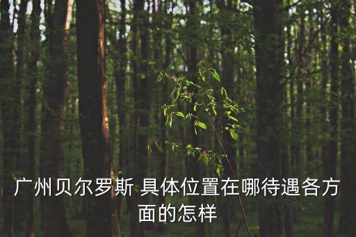 廣州貝爾羅斯 具體位置在哪待遇各方面的怎樣
