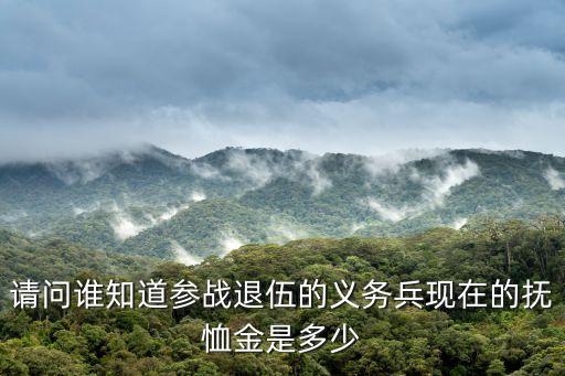 上海市參戰參試人員撫恤金，請問誰知道參戰退伍的義務兵現在的撫恤金是多少